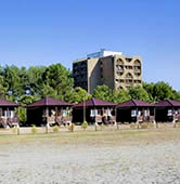 Пансионат Сосновая роща Пицунда Пансионат Сосновая роща Пицунда